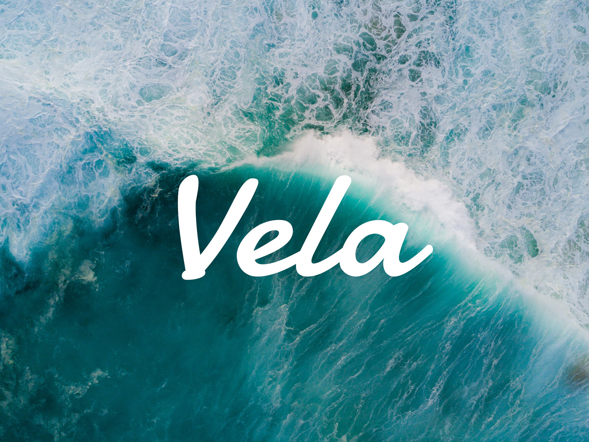 Ashley Gall_Vela Banner.jpg