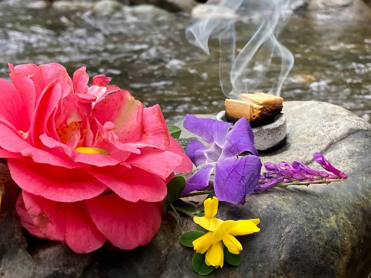 3 Rituals to Keep You Grounded