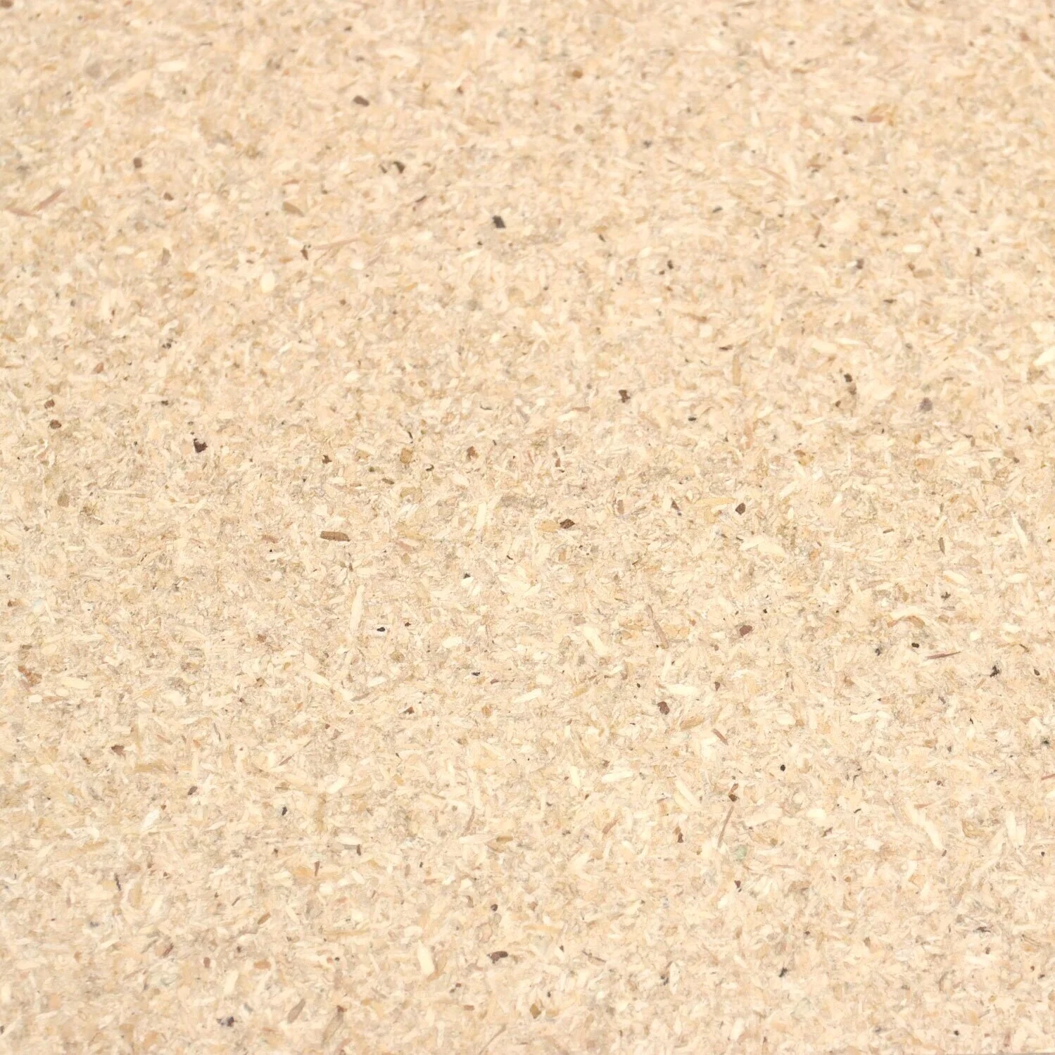 Particle Board — DMaF Lab