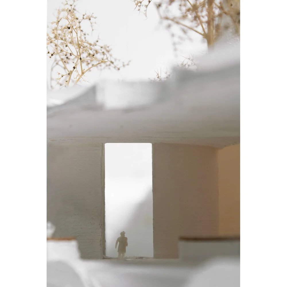 Model Gallery — DMaF Lab