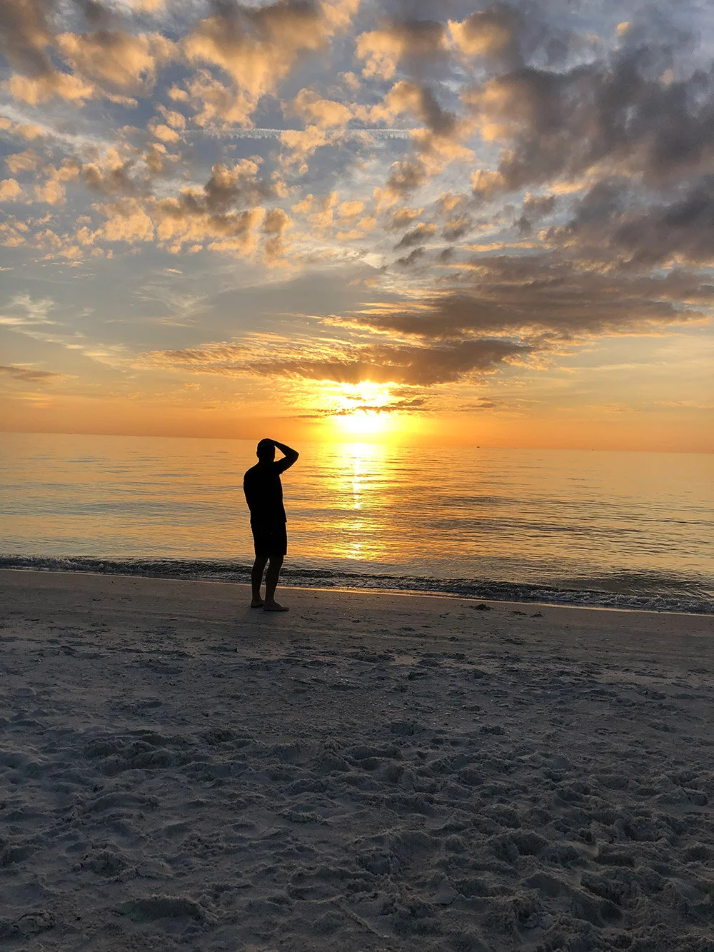 Article Title Goes Here