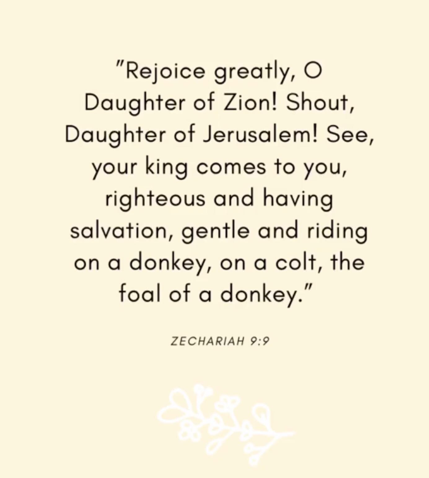 #holyweek #prophesy #palmsunday #Easter 💛💛💛💛