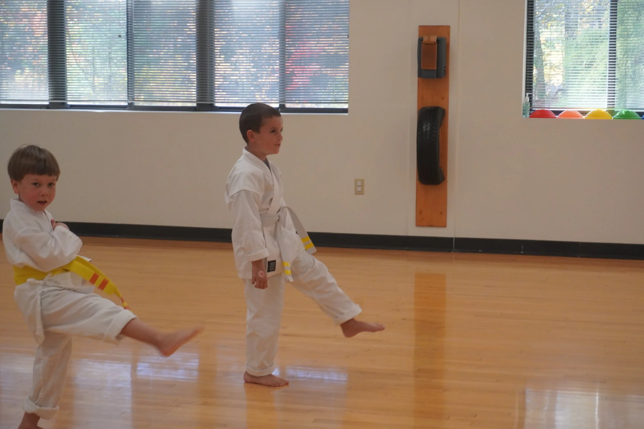 A060-S000-25-10-16 BDUKS Jr Beginner's Kyu Testing (Action Shots) (0031).JPG