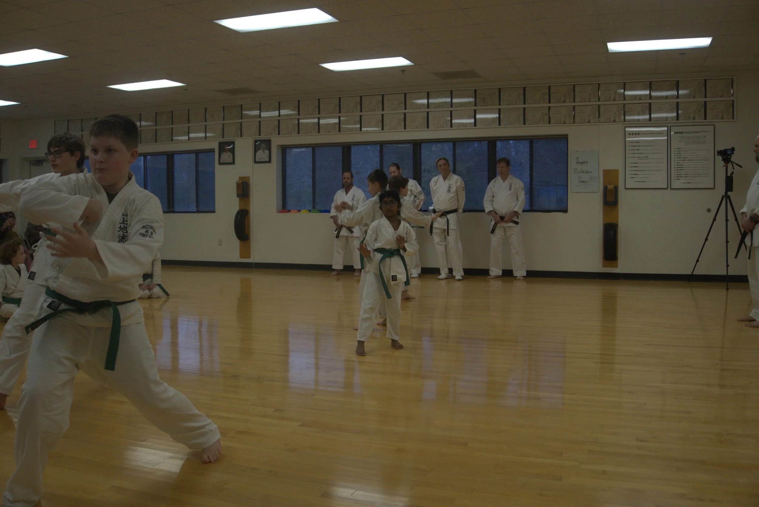 +0070+26-03-11 BDUKS Jr Intermediate Kyu Test (0132).jpg