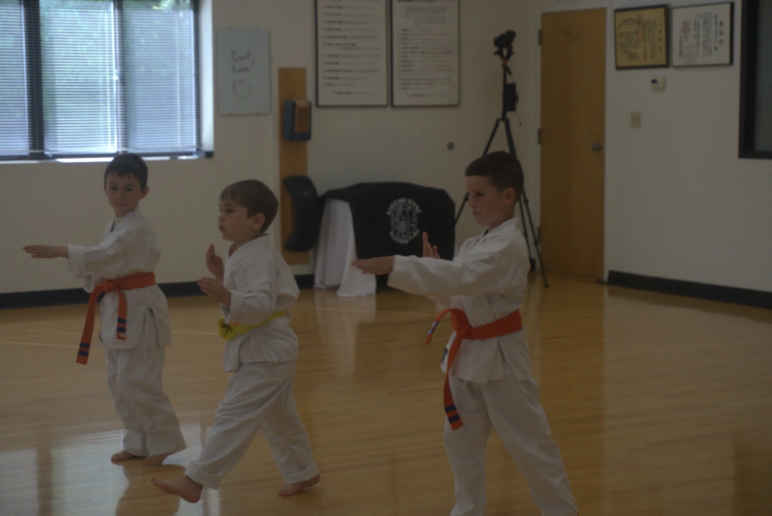 A055-S005-26-06-03 BDUKS Jr Beginners Kyu Testing (Camera-1) (0102).jpg