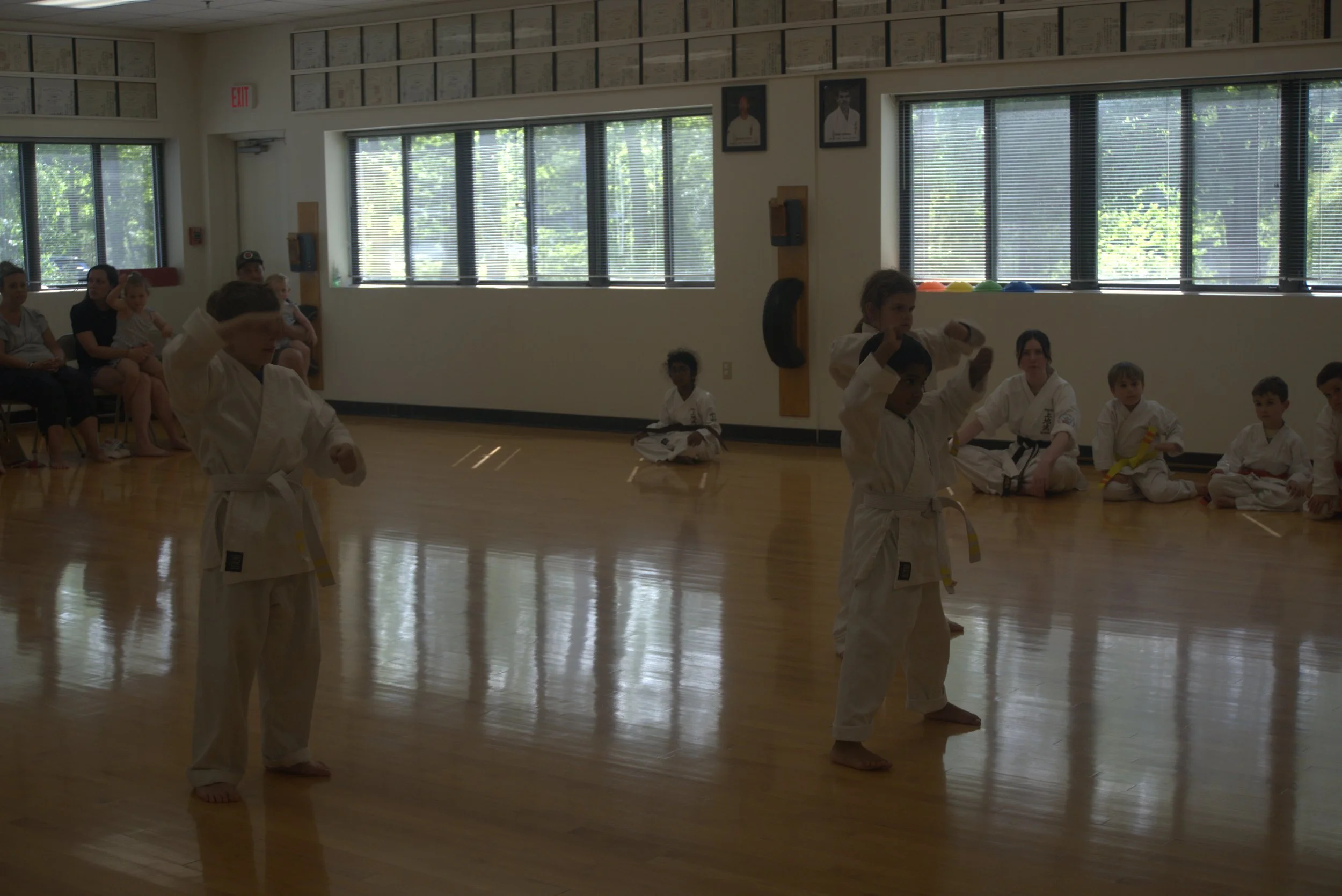 A055-S005-26-06-03 BDUKS Jr Beginners Kyu Testing (Camera-1) (0051).jpg