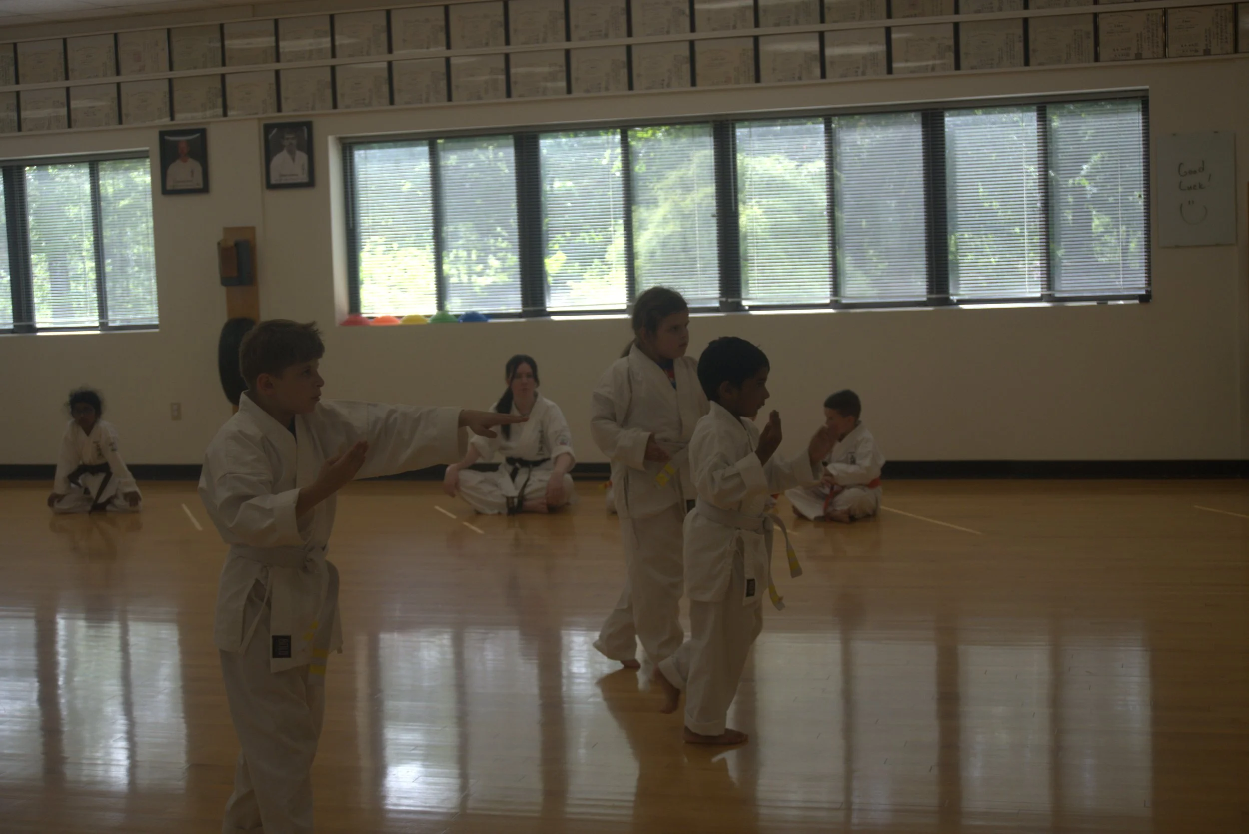 A055-S005-26-06-03 BDUKS Jr Beginners Kyu Testing (Camera-1) (0177).jpg