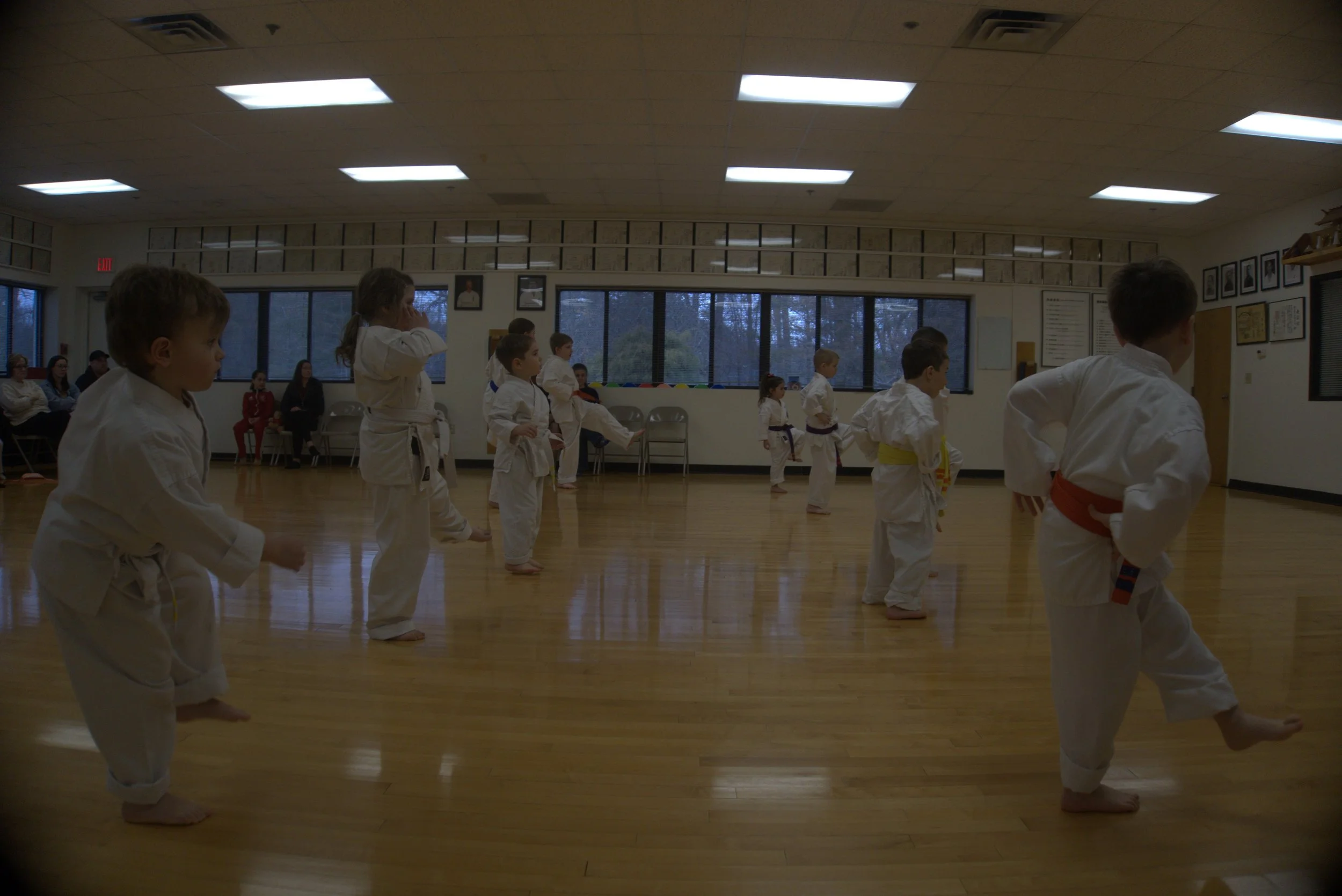 50-26-03-12 BDUKS Jr Beginner's Kyu Test (0054).jpg