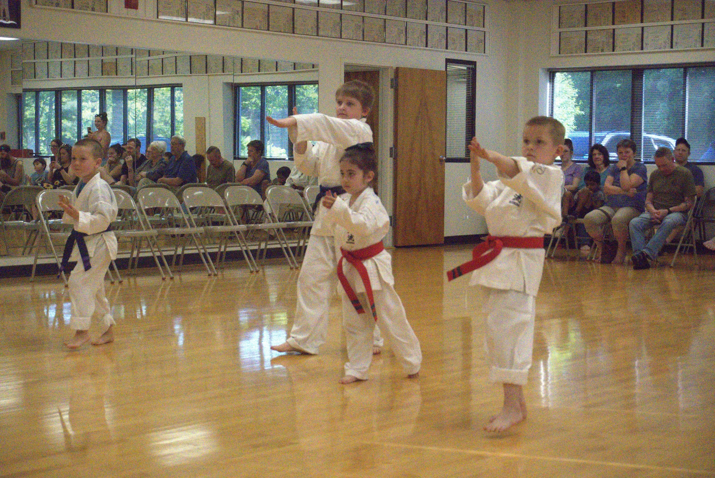 A065-S010-26-06-03 BDUKS Jr Intermesiate Kyu Testing (Camera-1) (0885).jpg