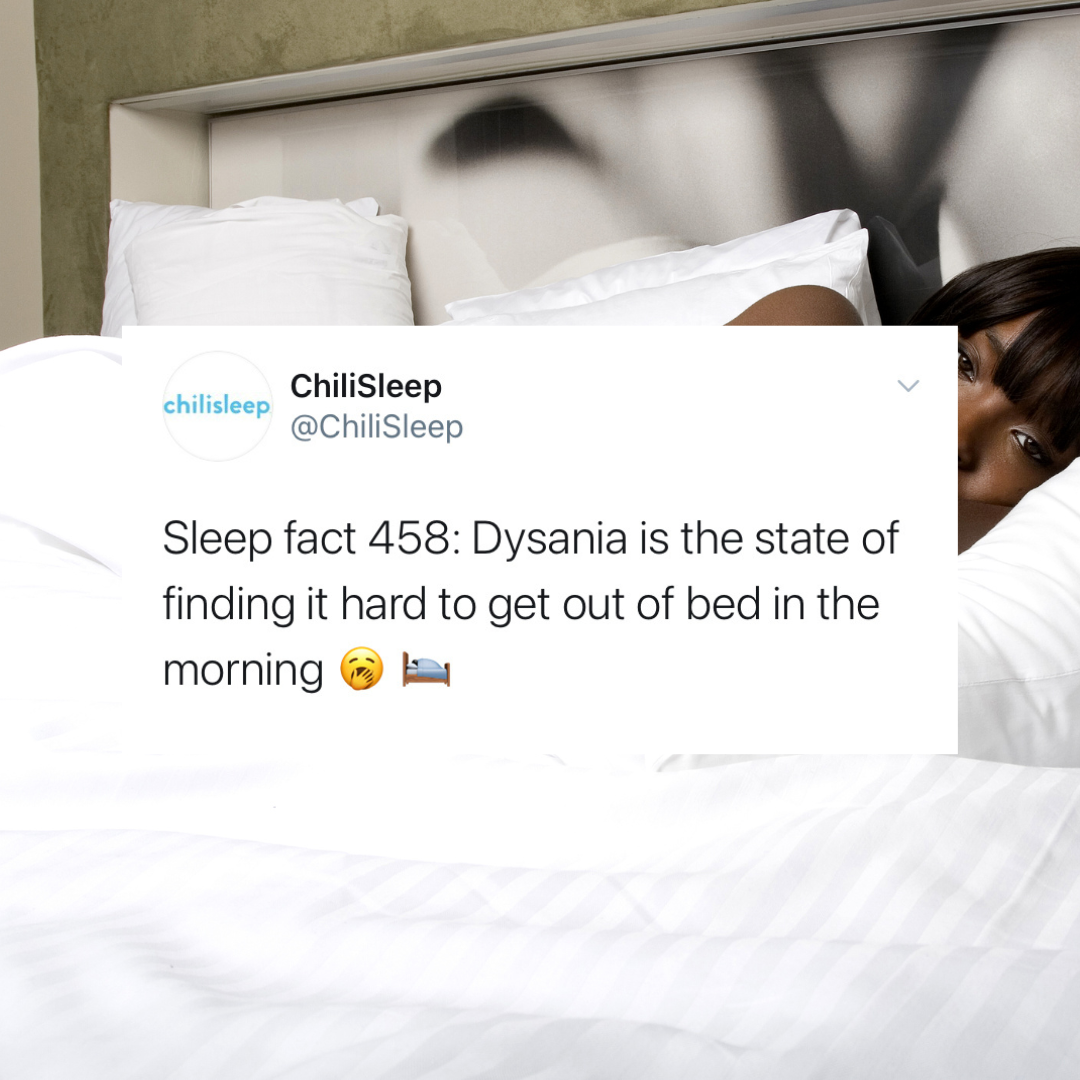 Untitled design-5.png