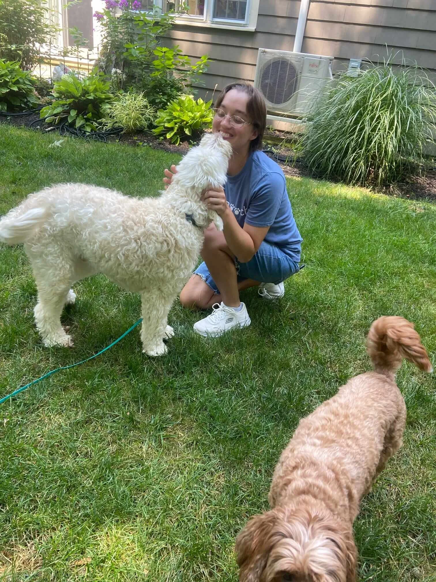 reliable expert best dog walker medfield needham dover.JPEG