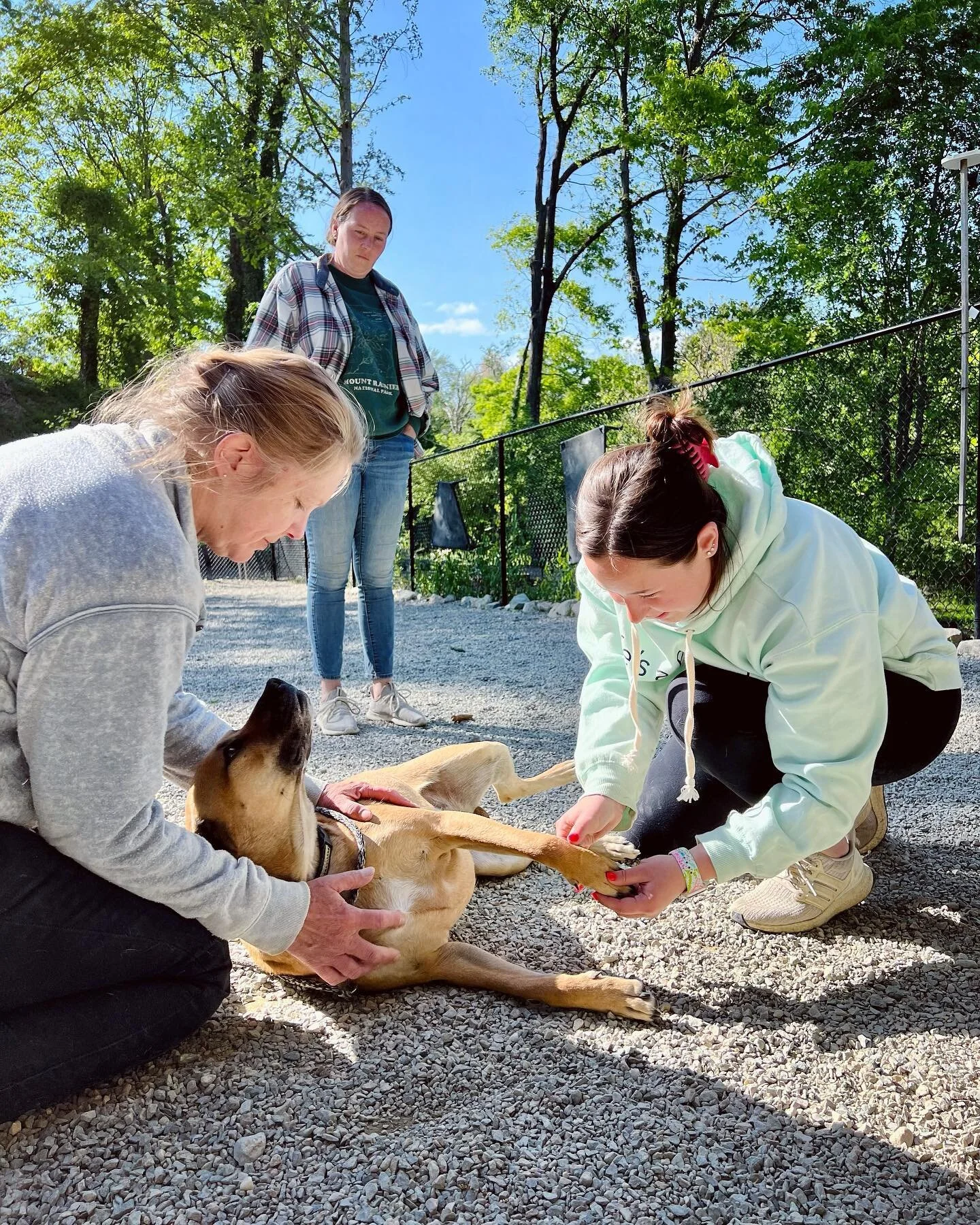 Our entire team completed our CPR/First Aid recertification and hands on training today 🏥 

I&rsquo;m so grateful and proud to have a team as passionate as I am about the level of care we provide to our pooches 💯 

Thanks to our amazing trainer, Be