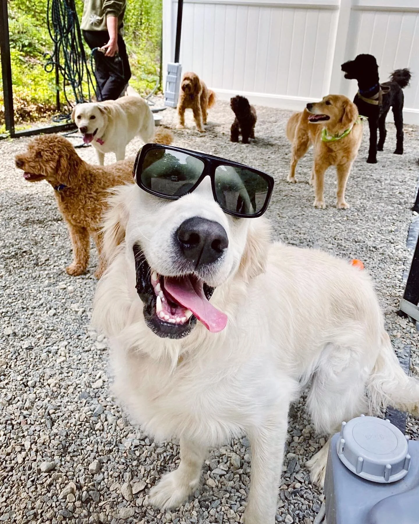 Happy Weekend😎