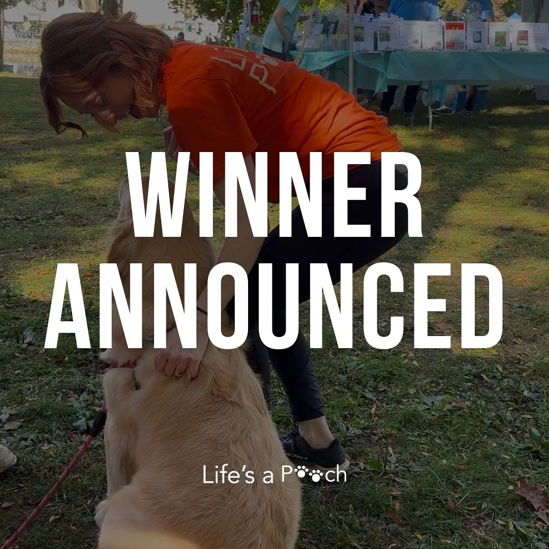 Winner! 🎉 Congrats Jessica &amp; Sadie&mdash;you won 3 in‑home sessions ($450 value)!

If you entered, check your inbox&mdash;$50 voucher expires October 5th at 7pm.

Thanks, Medfield! 

📸 from the Life&rsquo;s A Pooch booth.

p.s. for those who di