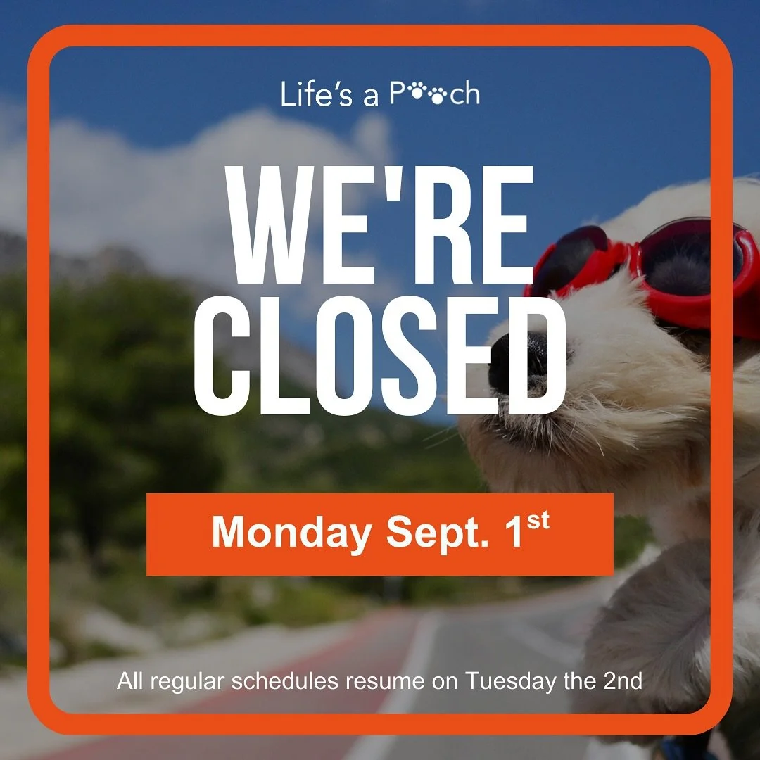 We are closed 9/1 for Labor Day. We hope everyone has a wonderful and safe holiday weekend! 

All schedules will resume on Tuesday 9/2. 

#lifesapooch