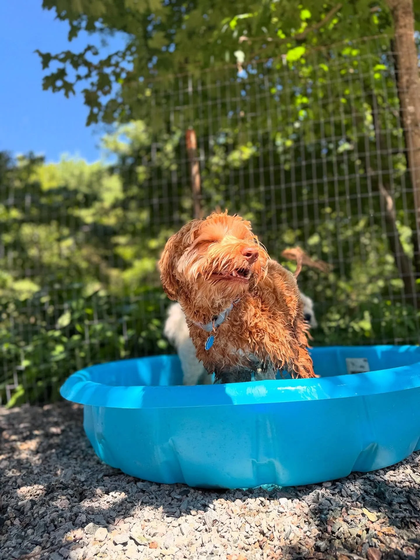 Here for the Sunny days (and Sunny smiles)