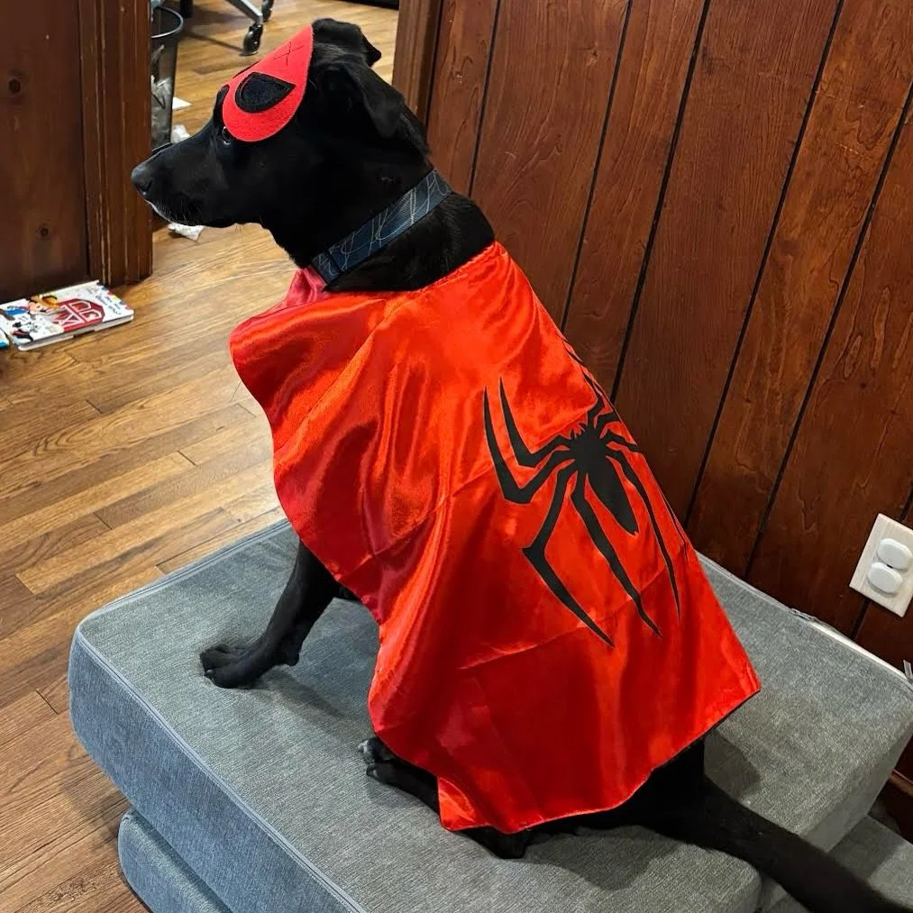 Entry #28: Baxter the Super🎃🐶

Vote: Tap the heart on this FEED post. One like = one vote.

Voting ends Thu 1:00pm. Likes counted only on our feed (Stories/DMs don&rsquo;t count).

Parent: @kokoren838

See all entries on our feed. Browse the &ldquo