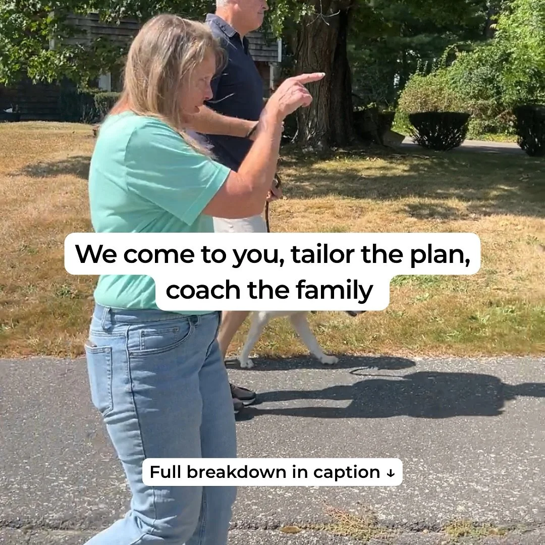 You don&rsquo;t need another class that unravels at home&mdash;you need training where life happens and a simple plan everyone can follow.

What &ldquo;family‑coached&rdquo; actually means (and why it works)

✔️One language: same cues, timing, and fo