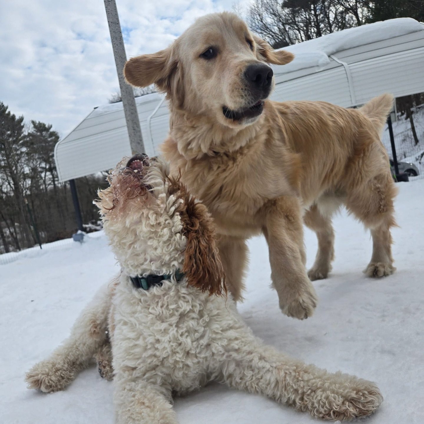 These photos might look like simple playtime, but our team is constantly reading the room.

We&rsquo;re watching body language, energy, and interactions so we can step in&nbsp;before&nbsp;things get overwhelming. 

That&rsquo;s how we keep group play