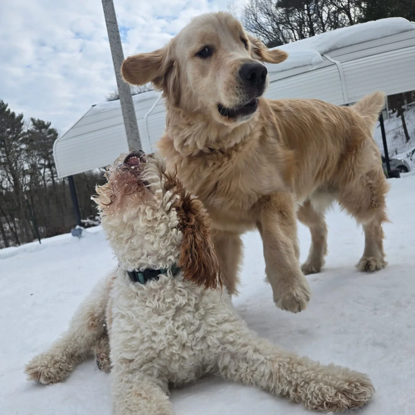 These photos might look like simple playtime, but our team is constantly reading the room.

We&rsquo;re watching body language, energy, and interactions so we can step in&nbsp;before&nbsp;things get overwhelming. 

That&rsquo;s how we keep group play