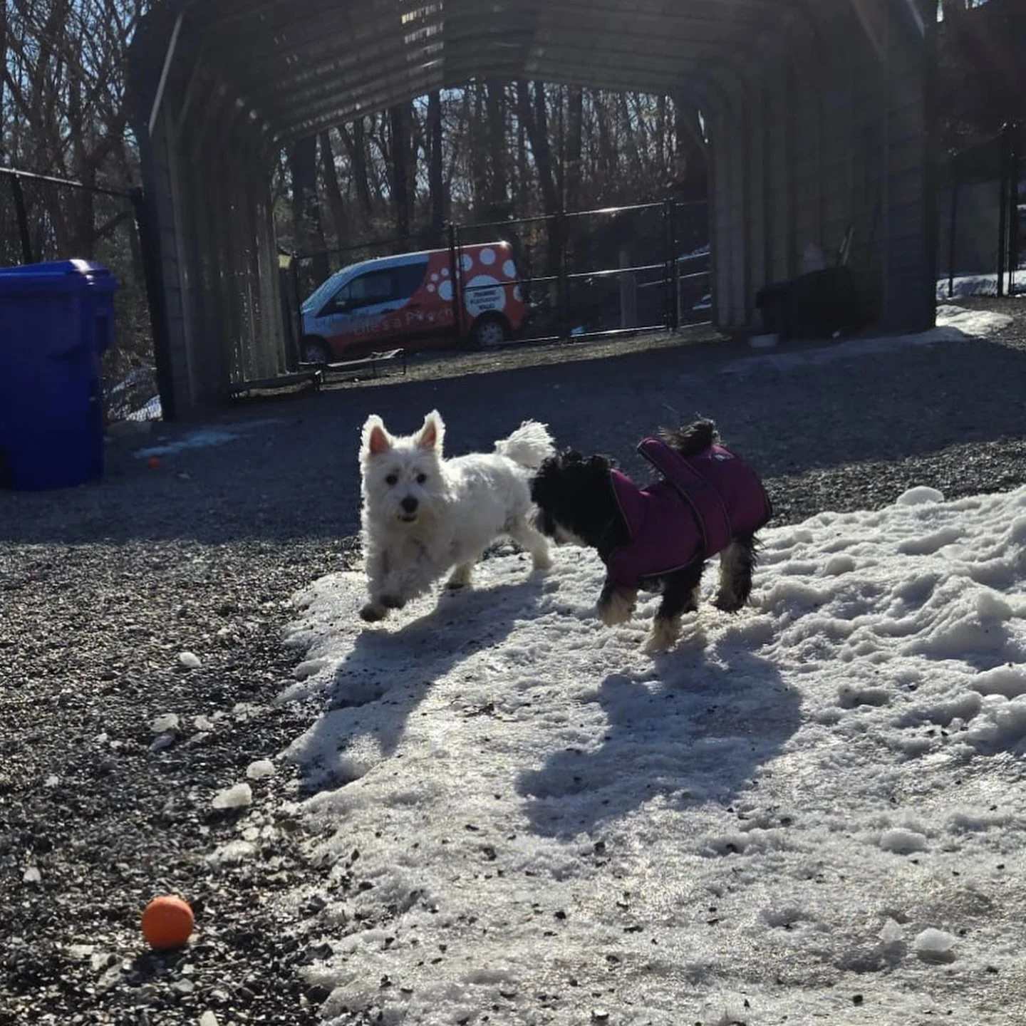 Attention to detail, every single run

These photos look like simple playtime. Behind them is a checklist running in our heads the entire session.

Before, during, and after play, we are watching:
&nbsp;&nbsp;&nbsp;&nbsp;&bull;&nbsp;&nbsp;&nbsp;&nbsp