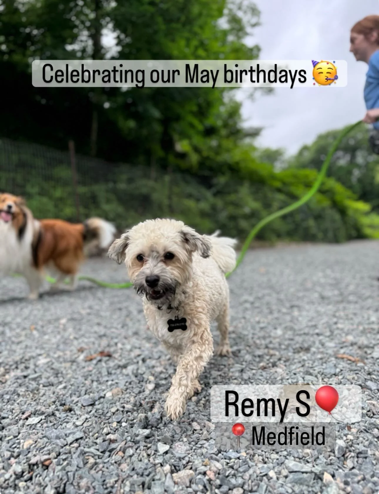 One Year Older. Just as Loved. Even More a Part of Our Family🧡

Dogs don&rsquo;t stay puppies &mdash; but the way we feel about them never changes. Whether your pup is turning 1 or turning 14 this May, they are just as cherished, just as celebrated,