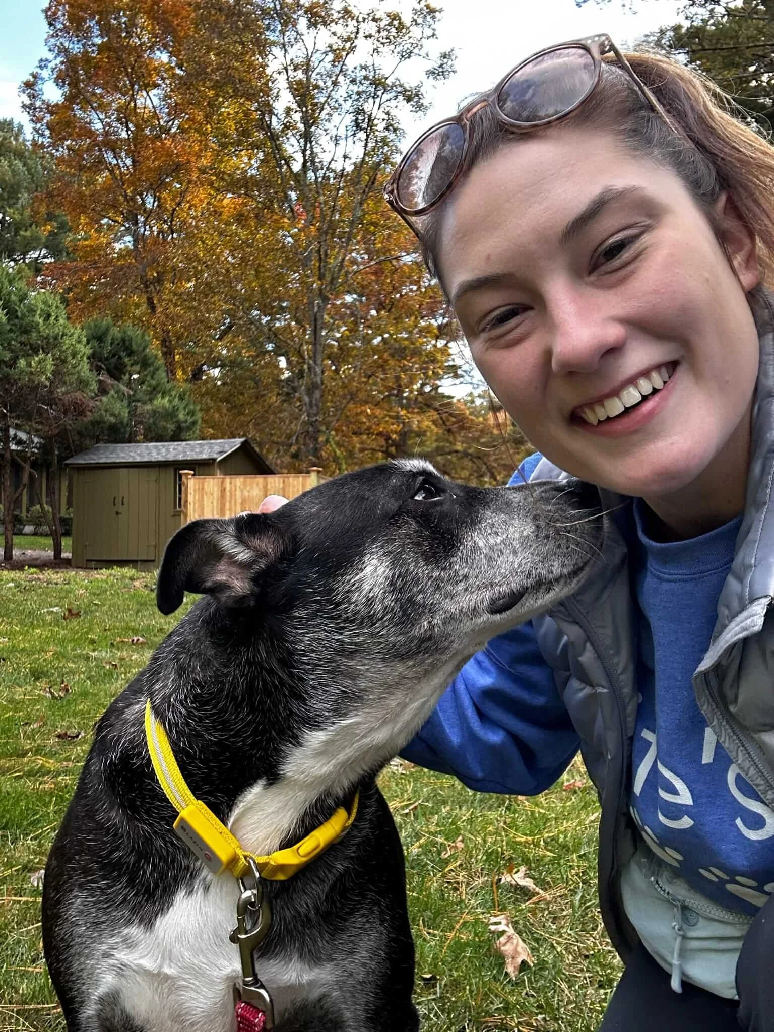 reliable dog walker medfield dover best of boston.JPEG