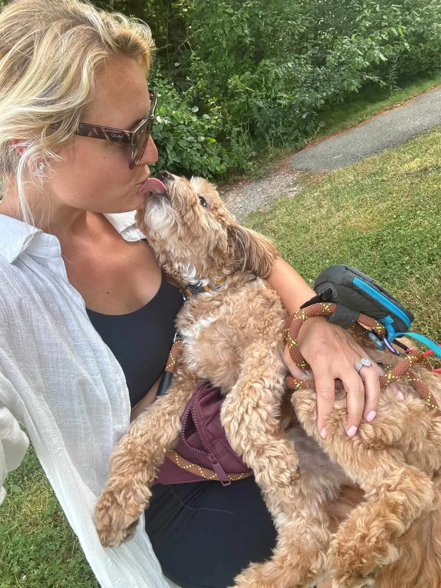 best puppy playgroup day care medfield needham dover sherborn.JPEG