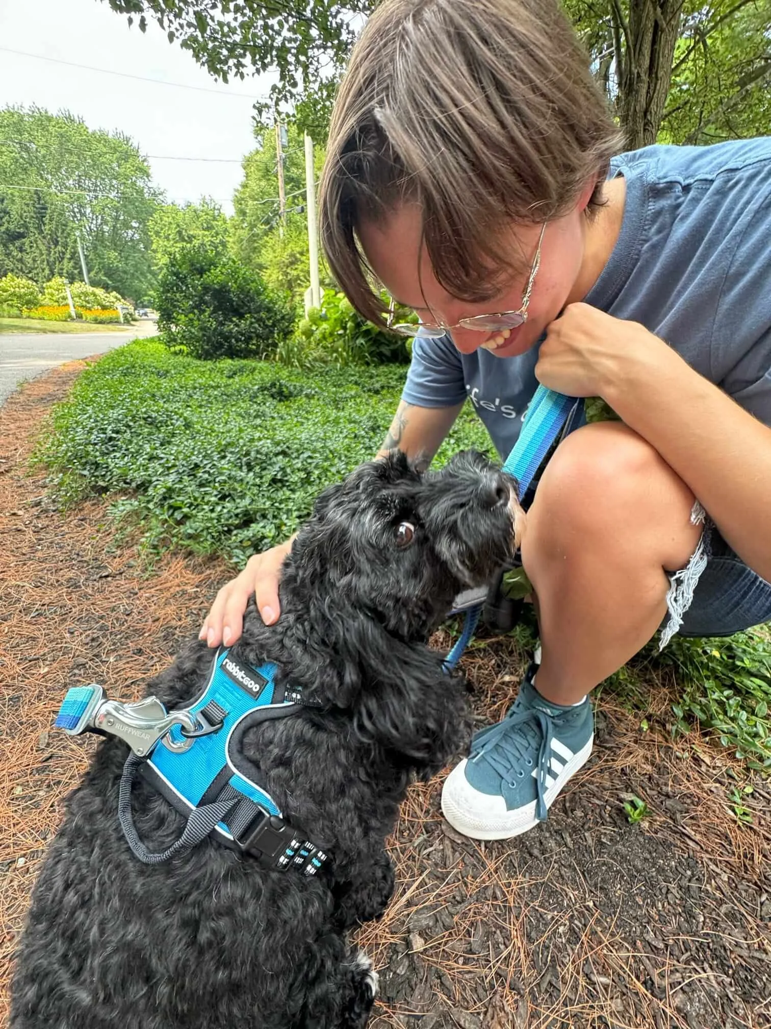 best reliable dog walker needham dover sherborn medfield.JPEG