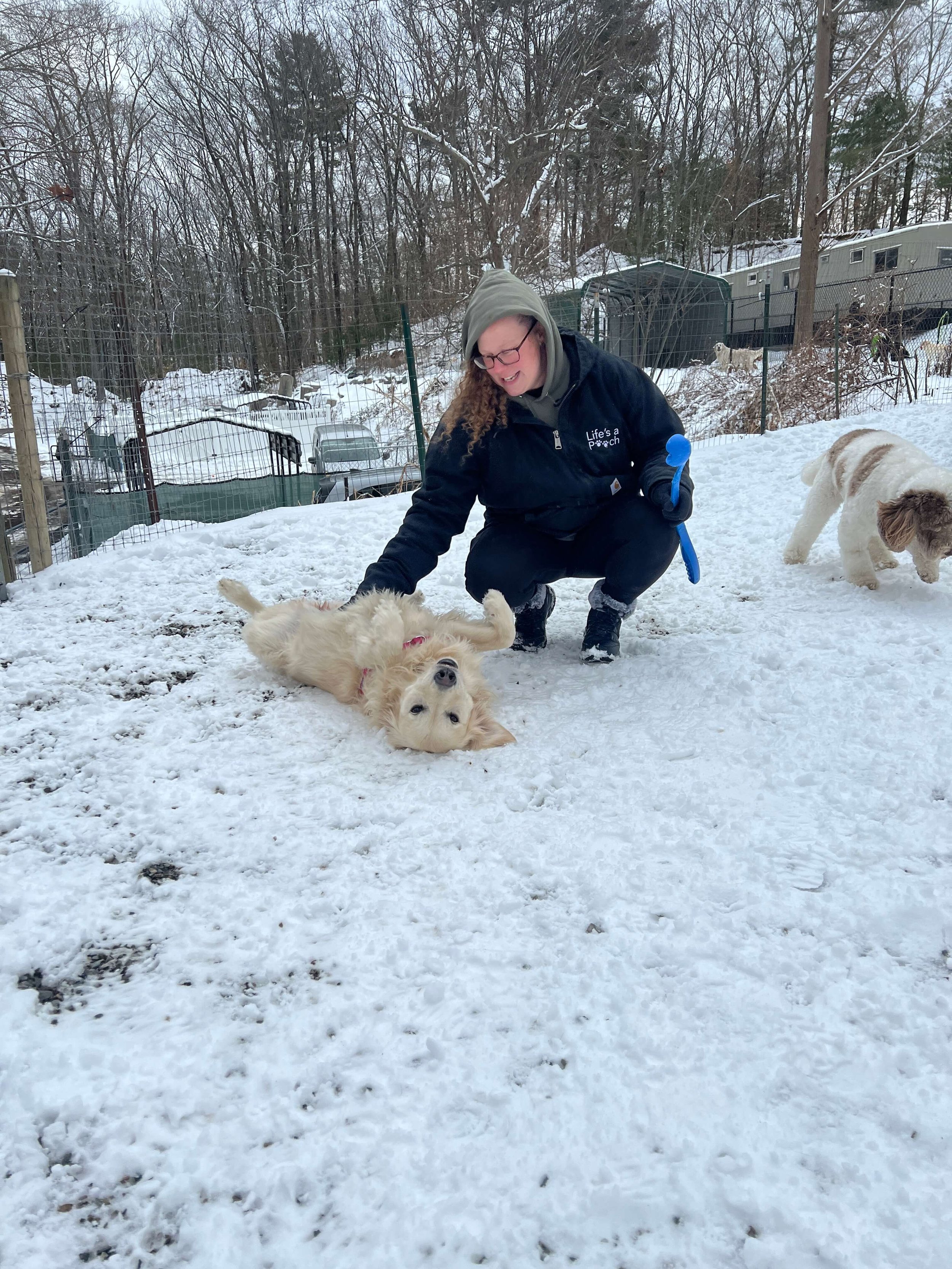 best doggy day care.JPG