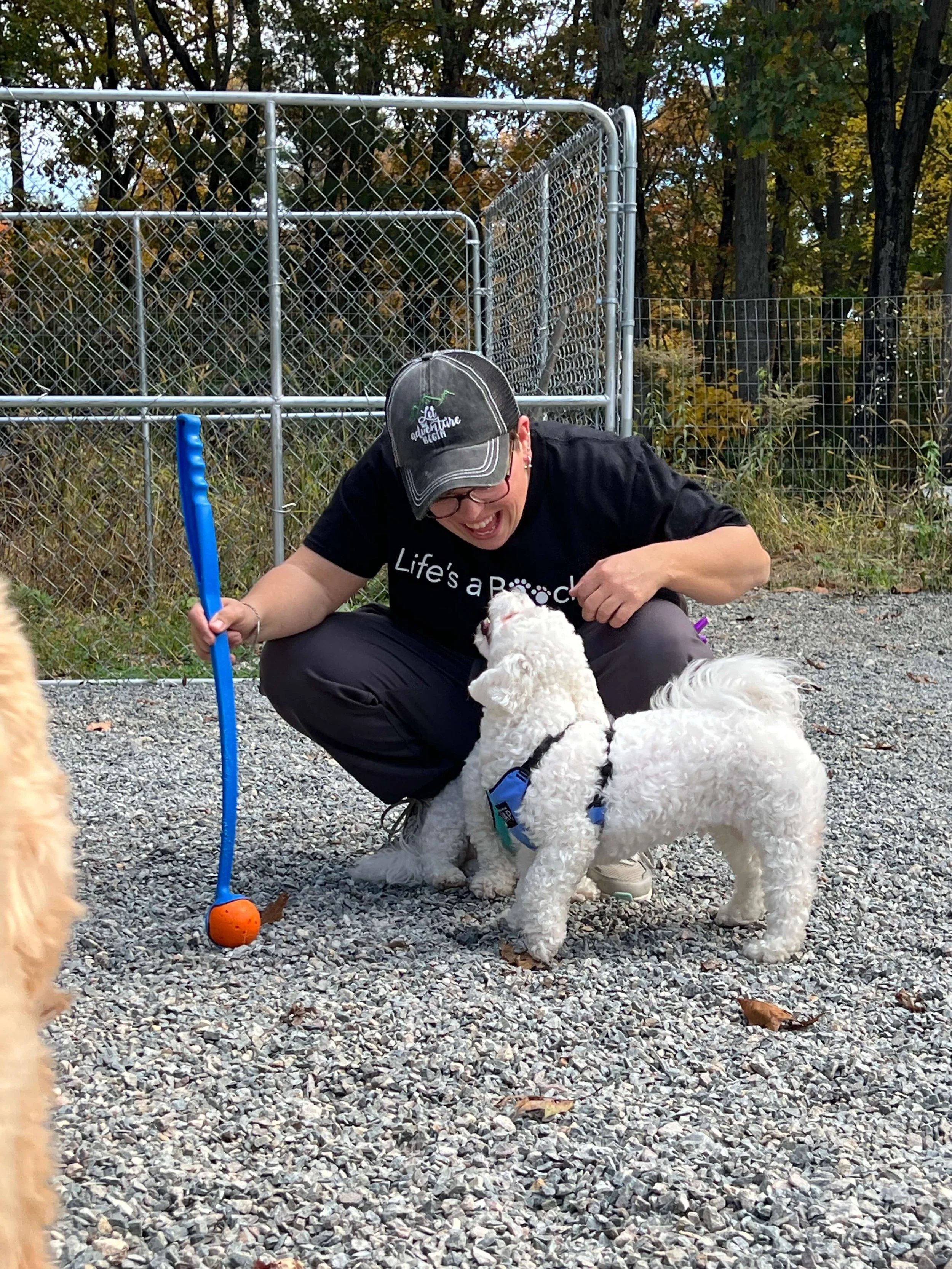 best doggy day care expert obedience training.JPG