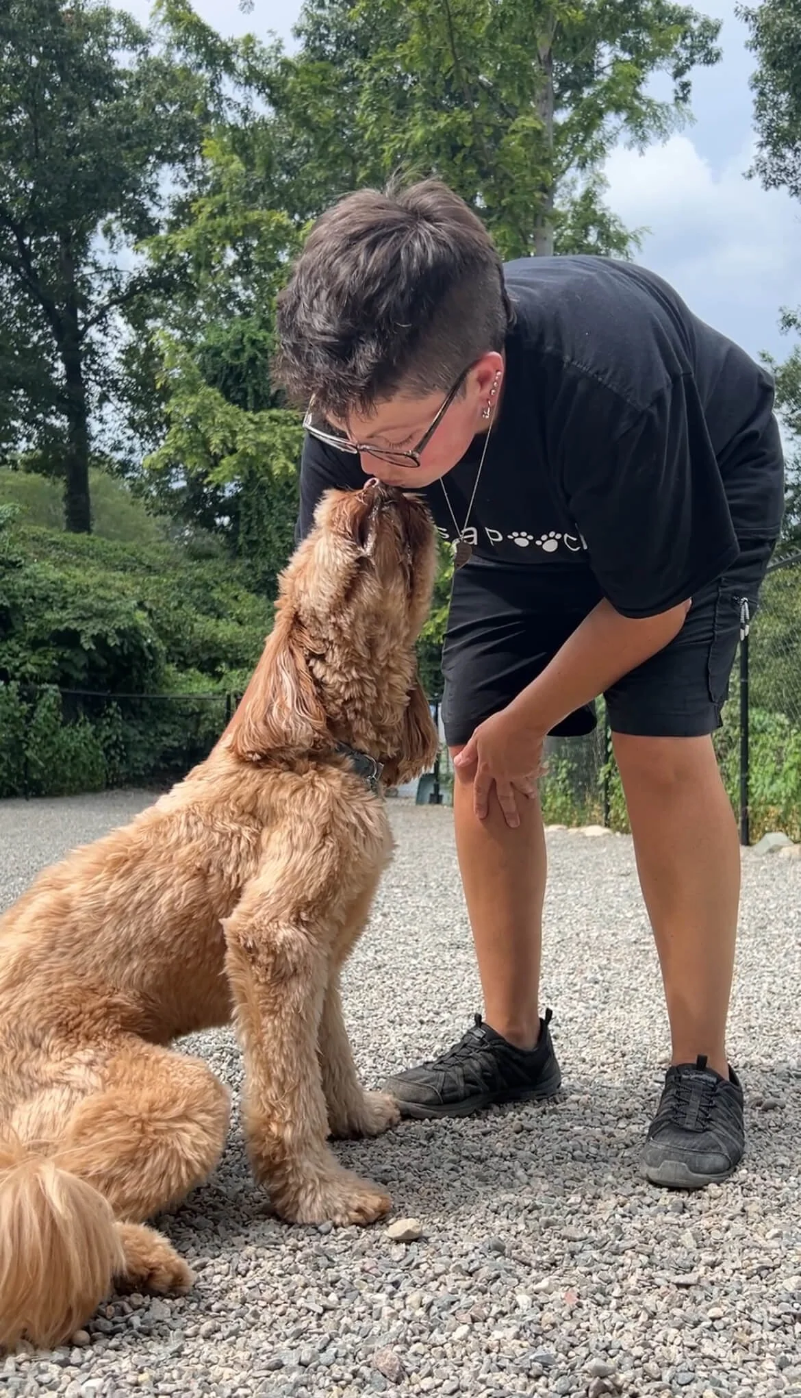 best dog expert training socialzation playgroup needham medfield.jpeg