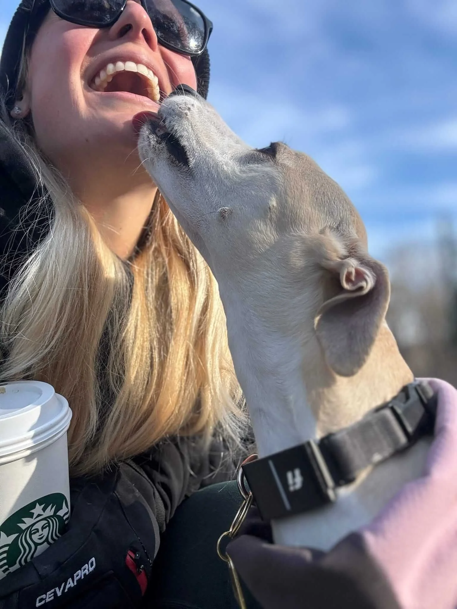 medfield small business best dog care service.jpeg