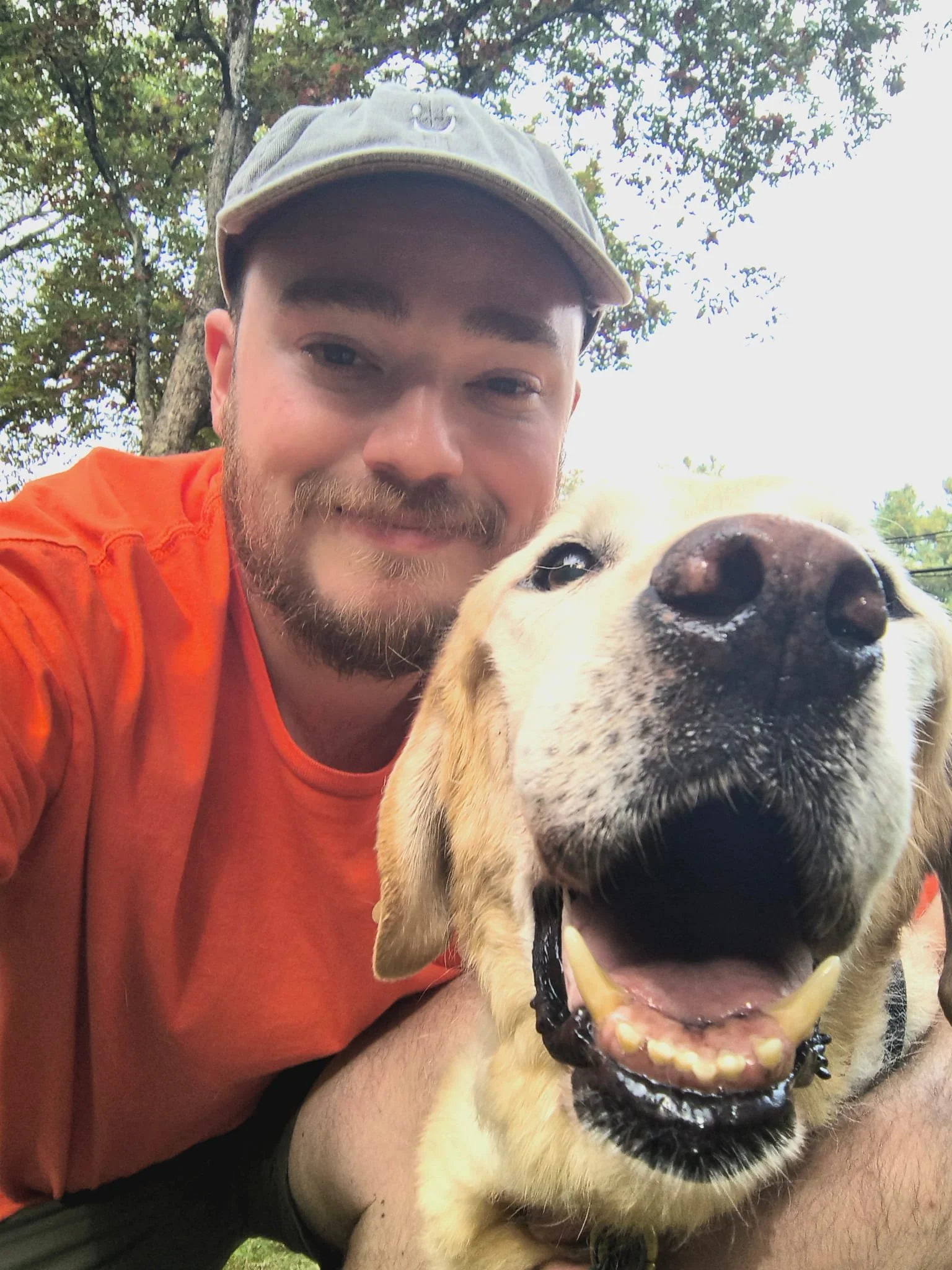 expert dog walker in medfield ma dover ma