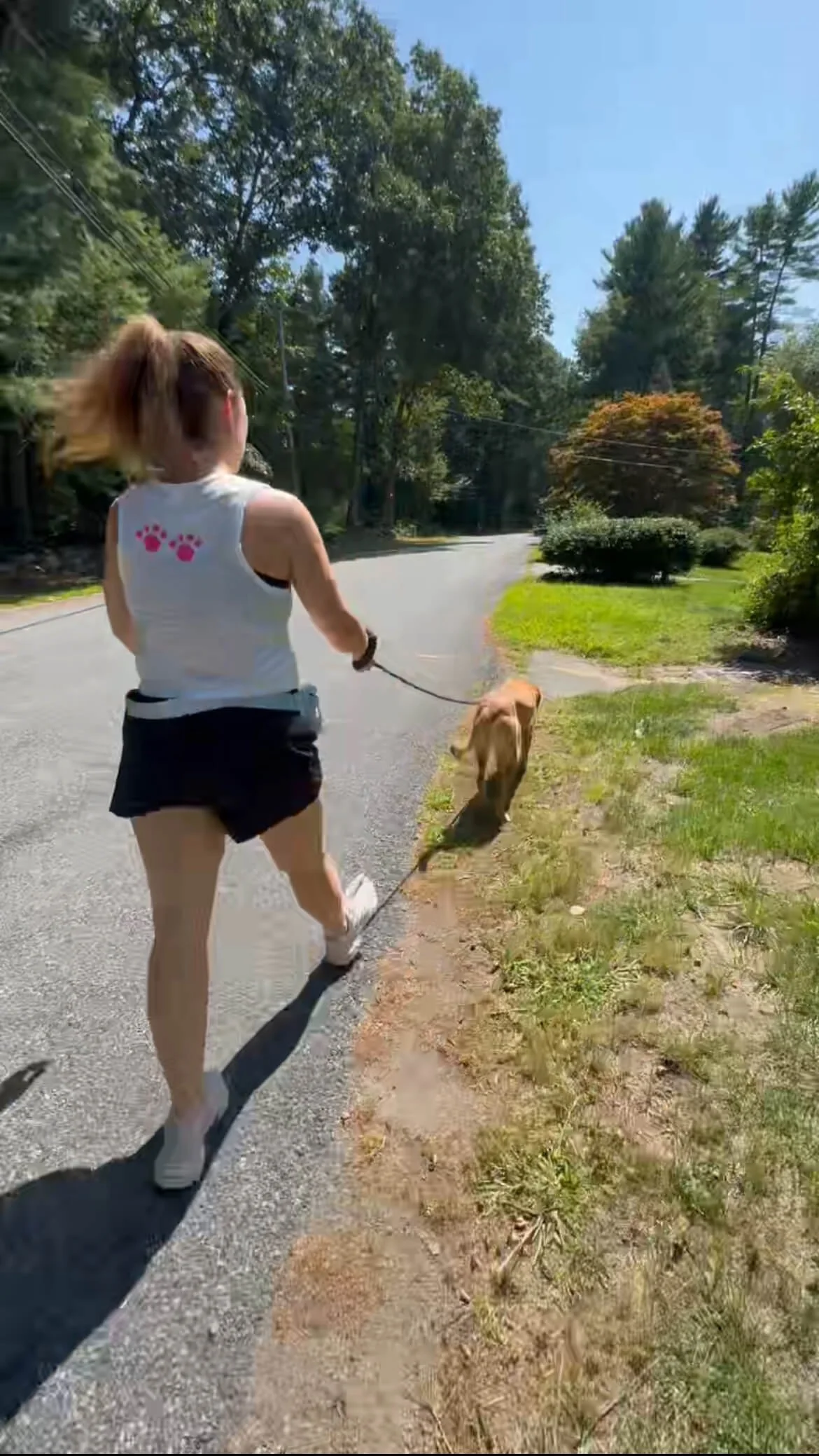 best dog walker needham medfield dover reliable safe puppy.jpeg