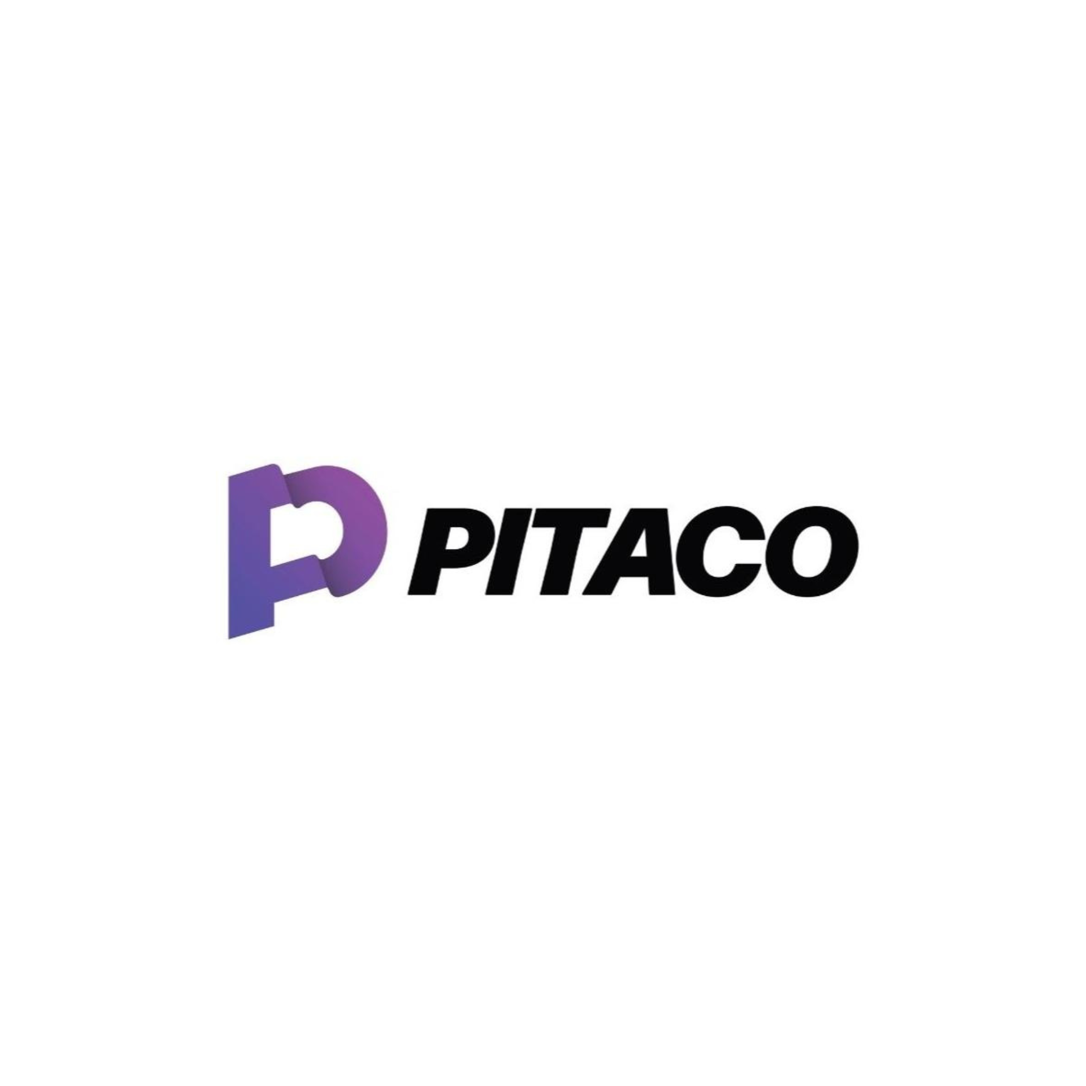REI DO PITACO V3.png