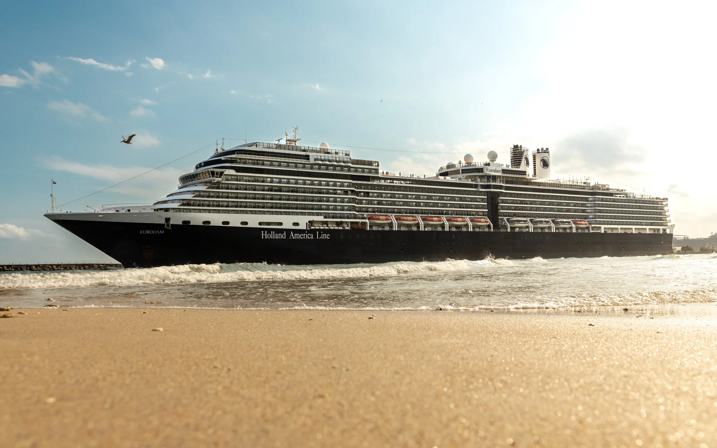 Photo Aug 23 2023, 10 08 39 AM.jpg