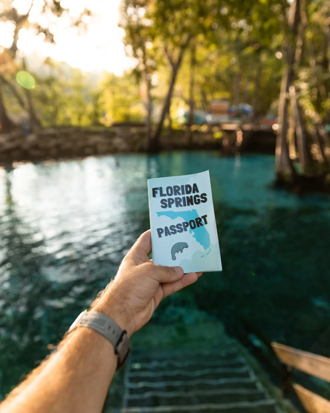 Florida Spring Passport