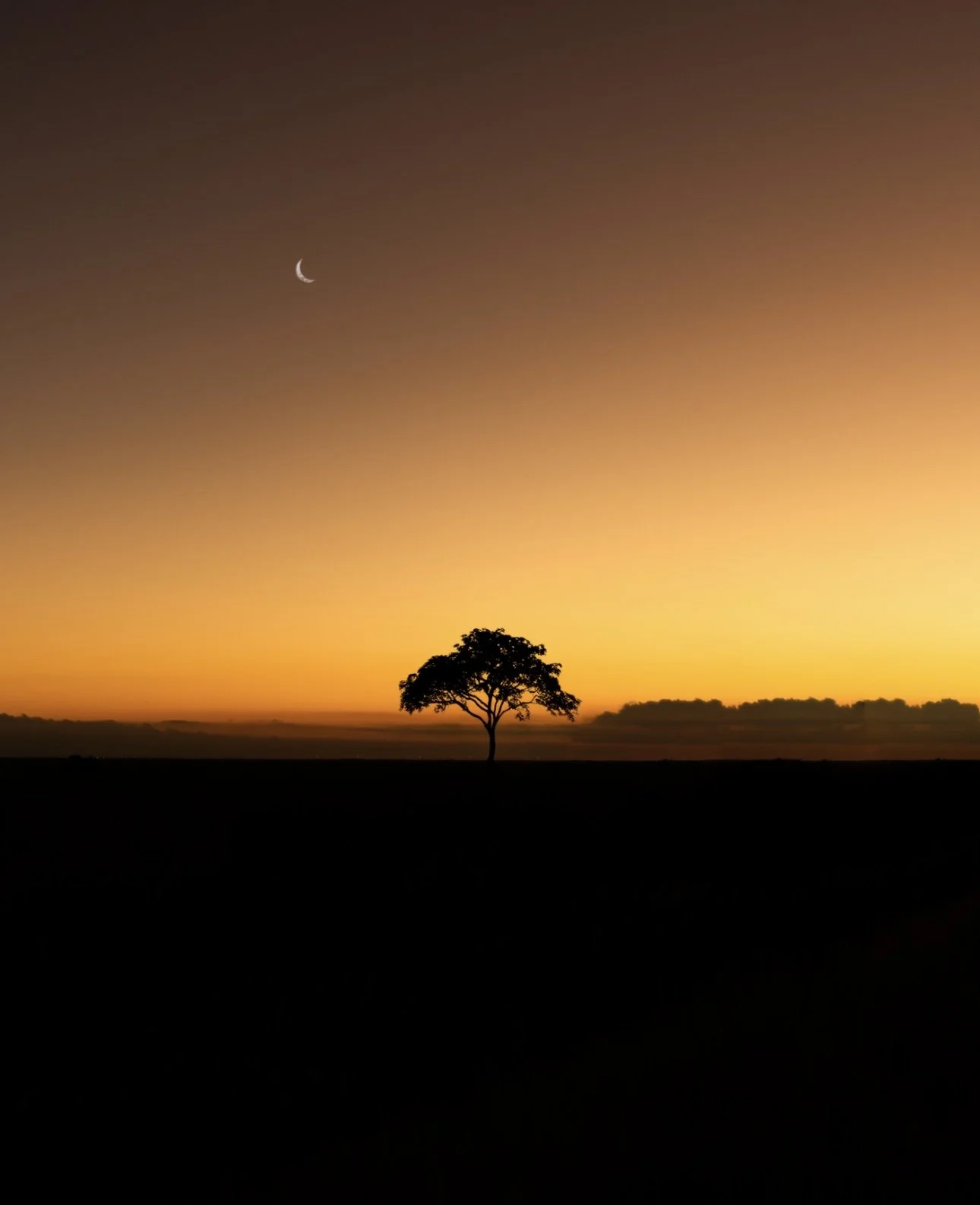 Photo Aug 23 2023, 10 05 41 AM.jpg