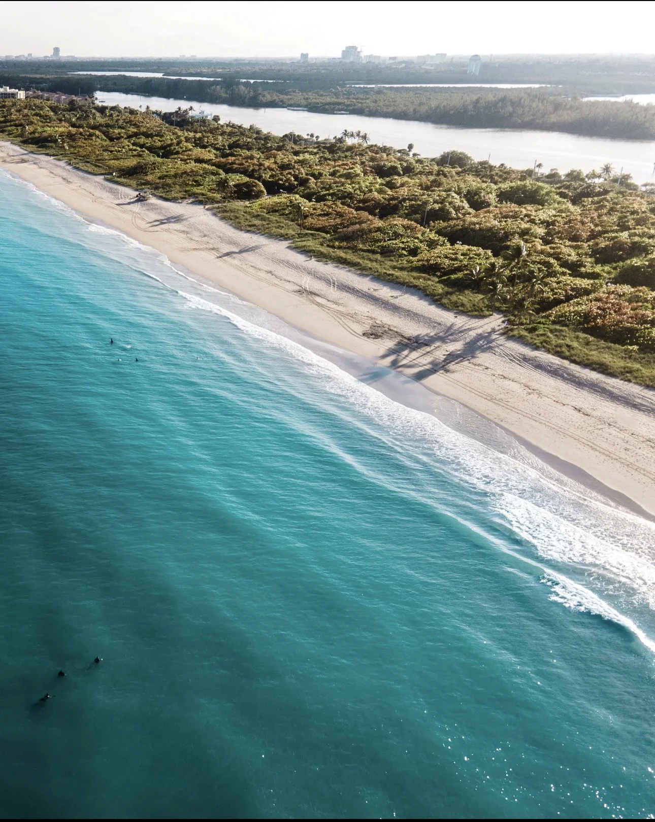 Photo Aug 23 2023, 10 04 52 AM.jpg