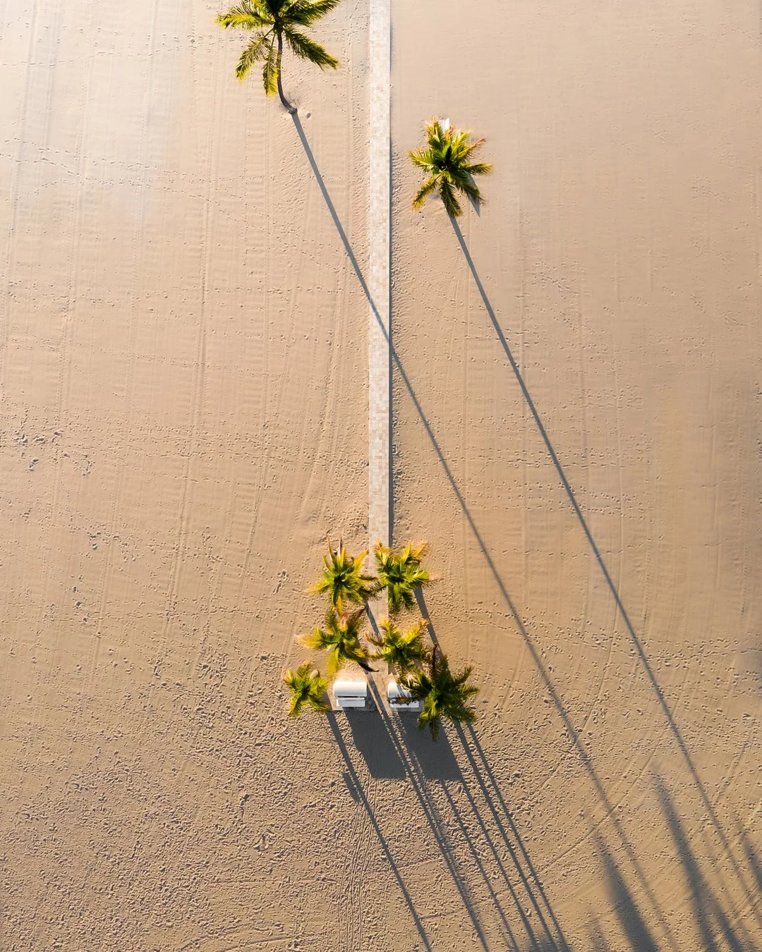 DJI_0120-Edit-Edit copy.jpg