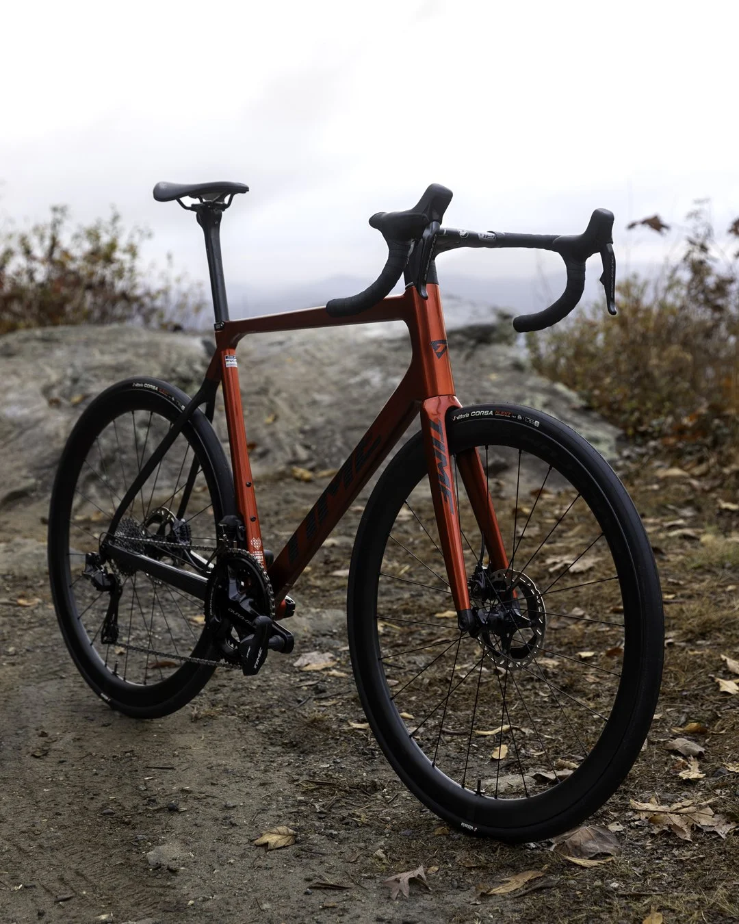 768A3021-Enhanced-NR copy.jpg