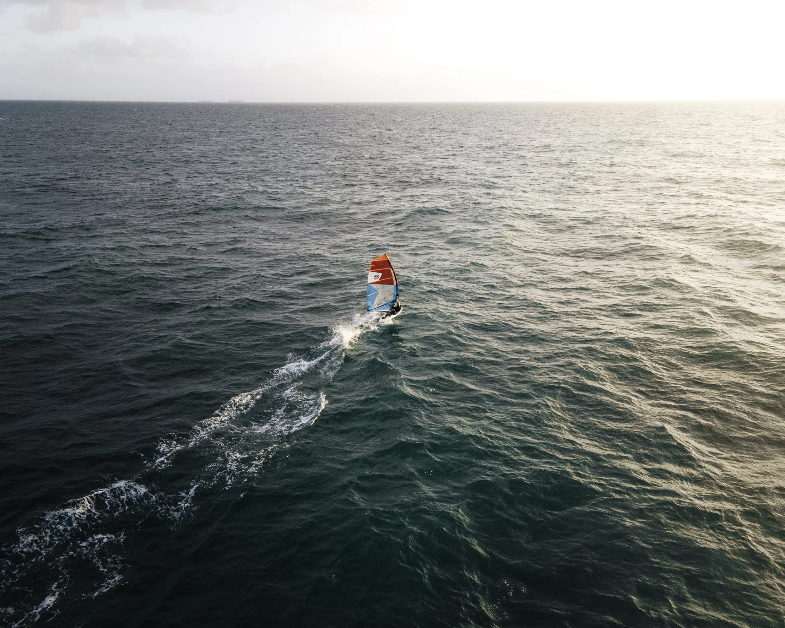 Photo Feb 18 2021, 7 17 45 AM.jpg