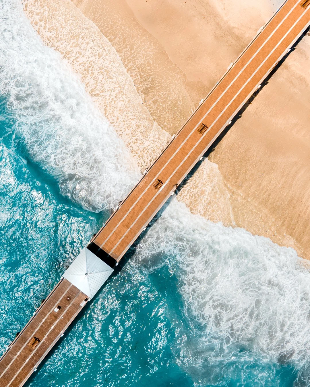 Photo Aug 23 2023, 10 08 44 AM (1).jpg