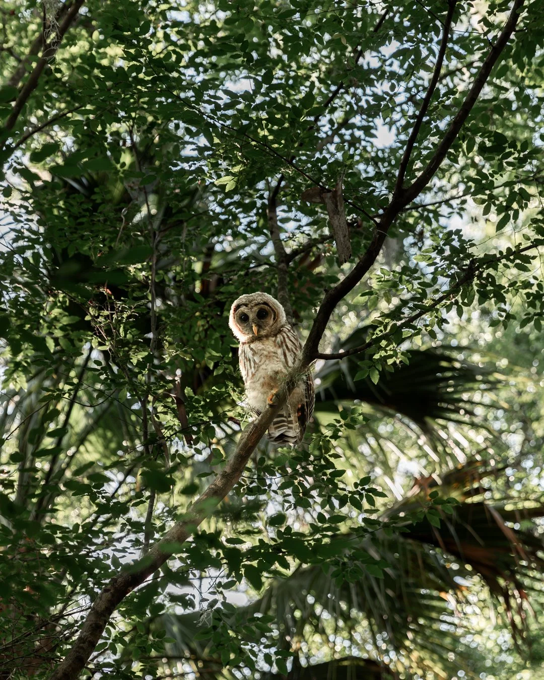 768A0205-Enhanced-NR copy.jpg