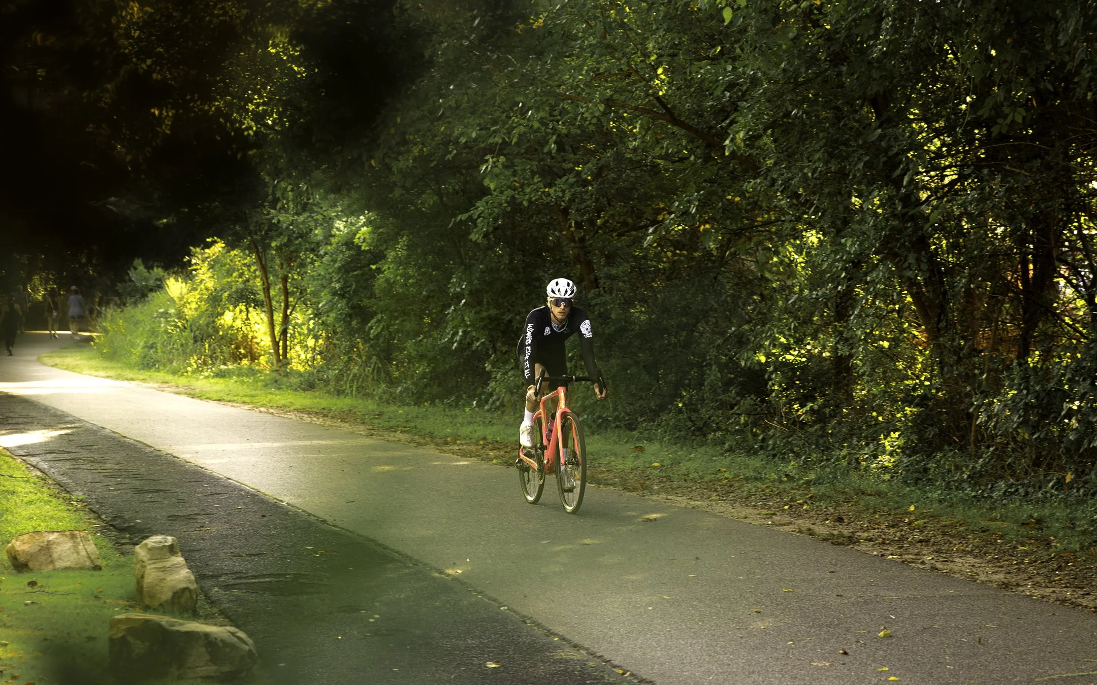 768A9241-Enhanced-NR copy.jpg