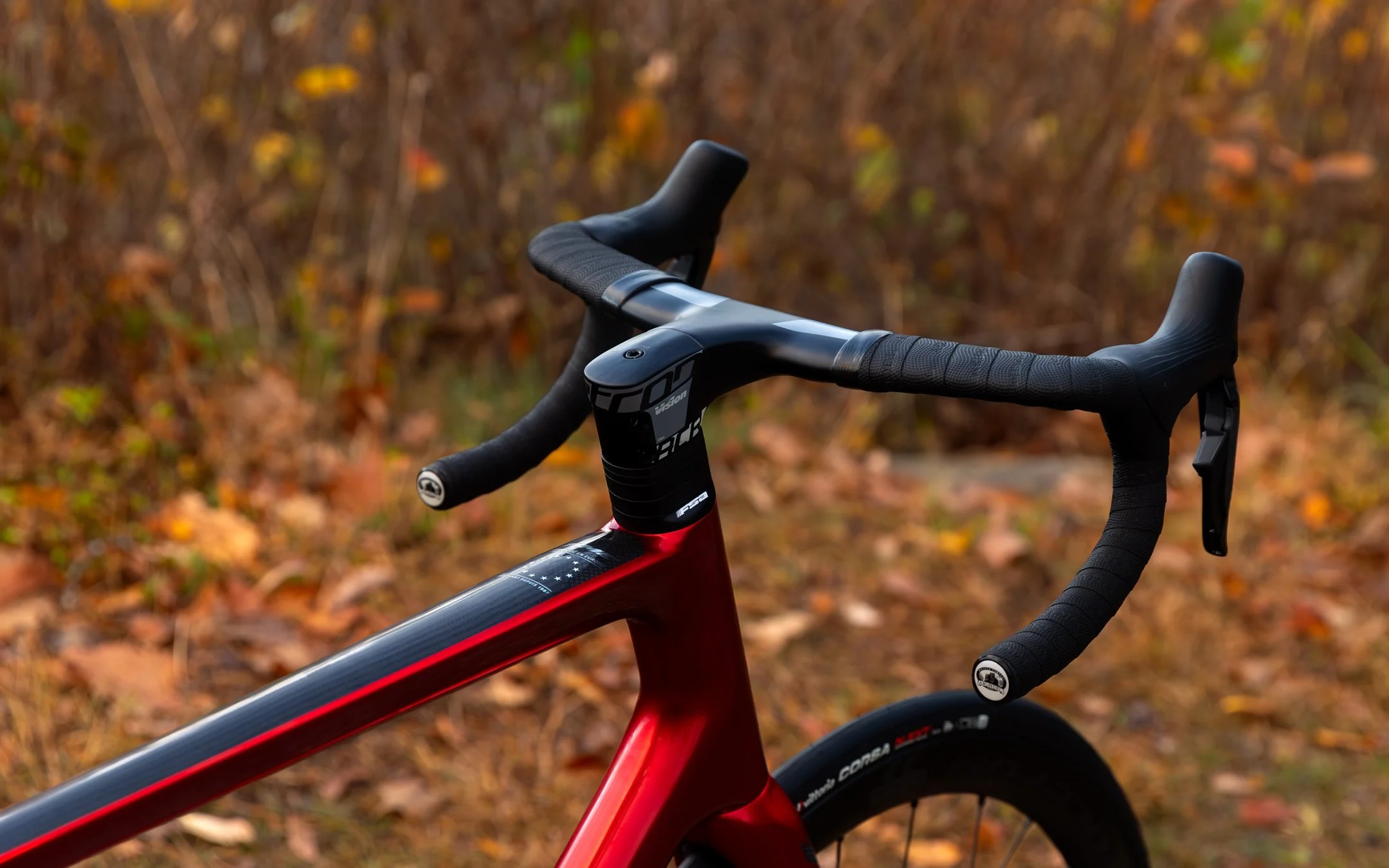 768A3027-Enhanced-NR copy.jpg