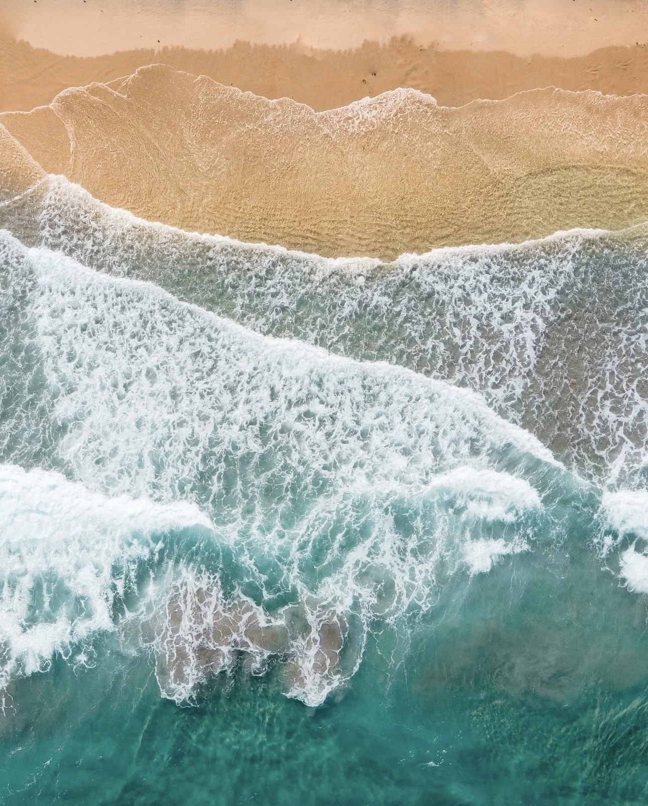 Photo Aug 23 2023, 10 05 00 AM.jpg