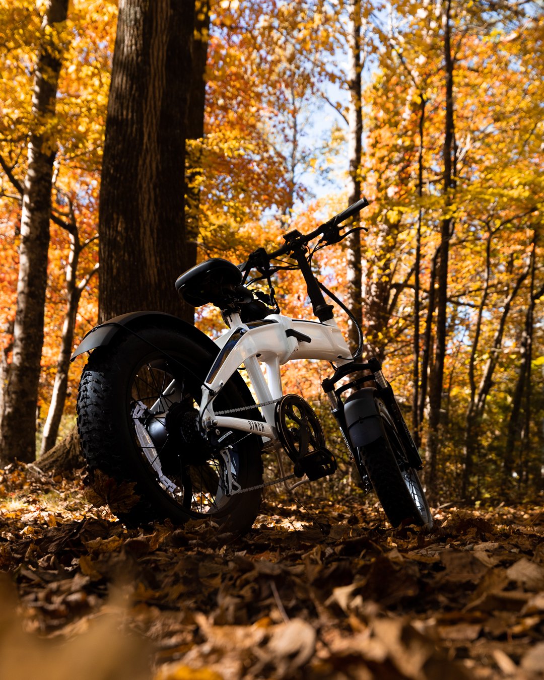 Photo Nov 07, 10 53 49 AM copy.jpg