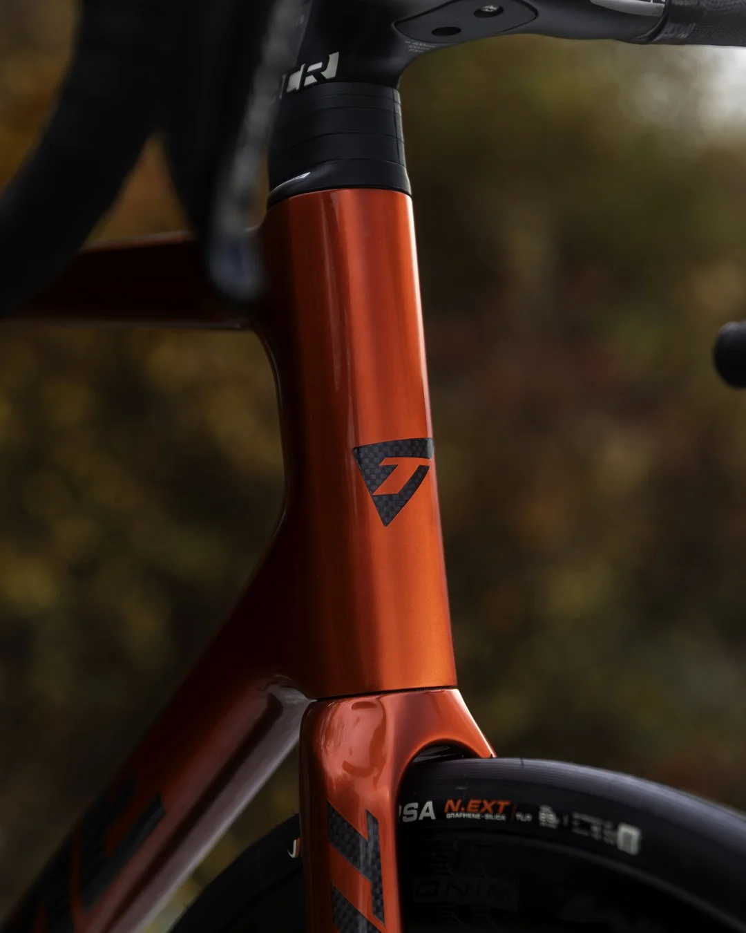 768A2975-Enhanced-NR copy.jpg